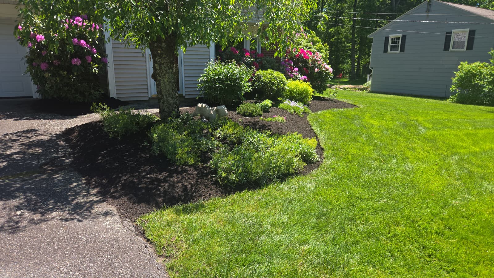 jvm landscaping (2)